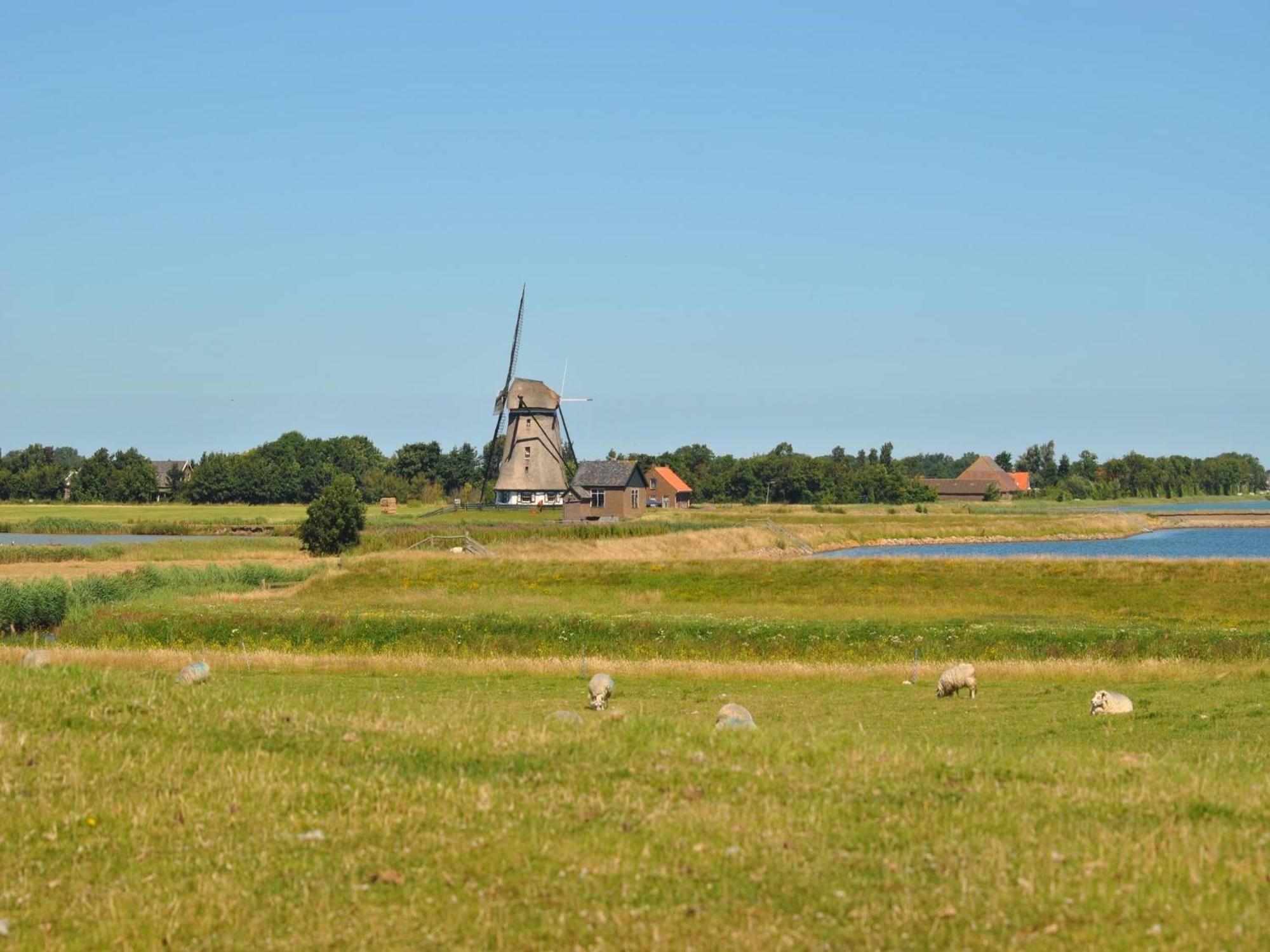 Oost  Lovely Holiday Home In Texel Near Sea מראה חיצוני תמונה