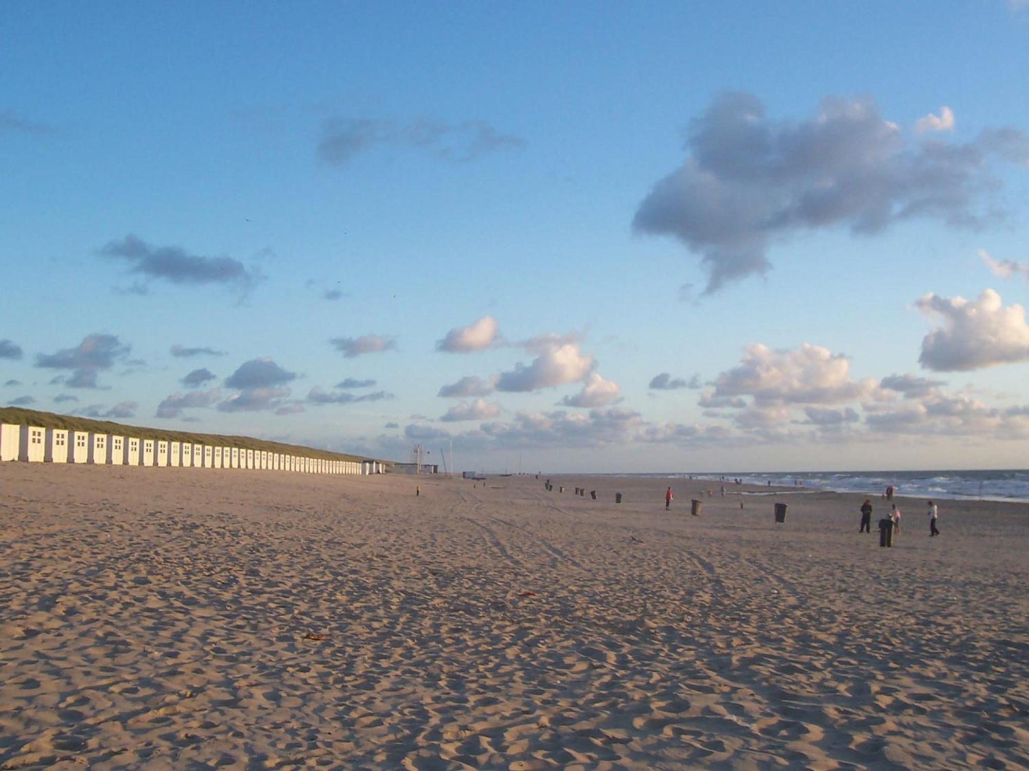 Oost  Lovely Holiday Home In Texel Near Sea מראה חיצוני תמונה