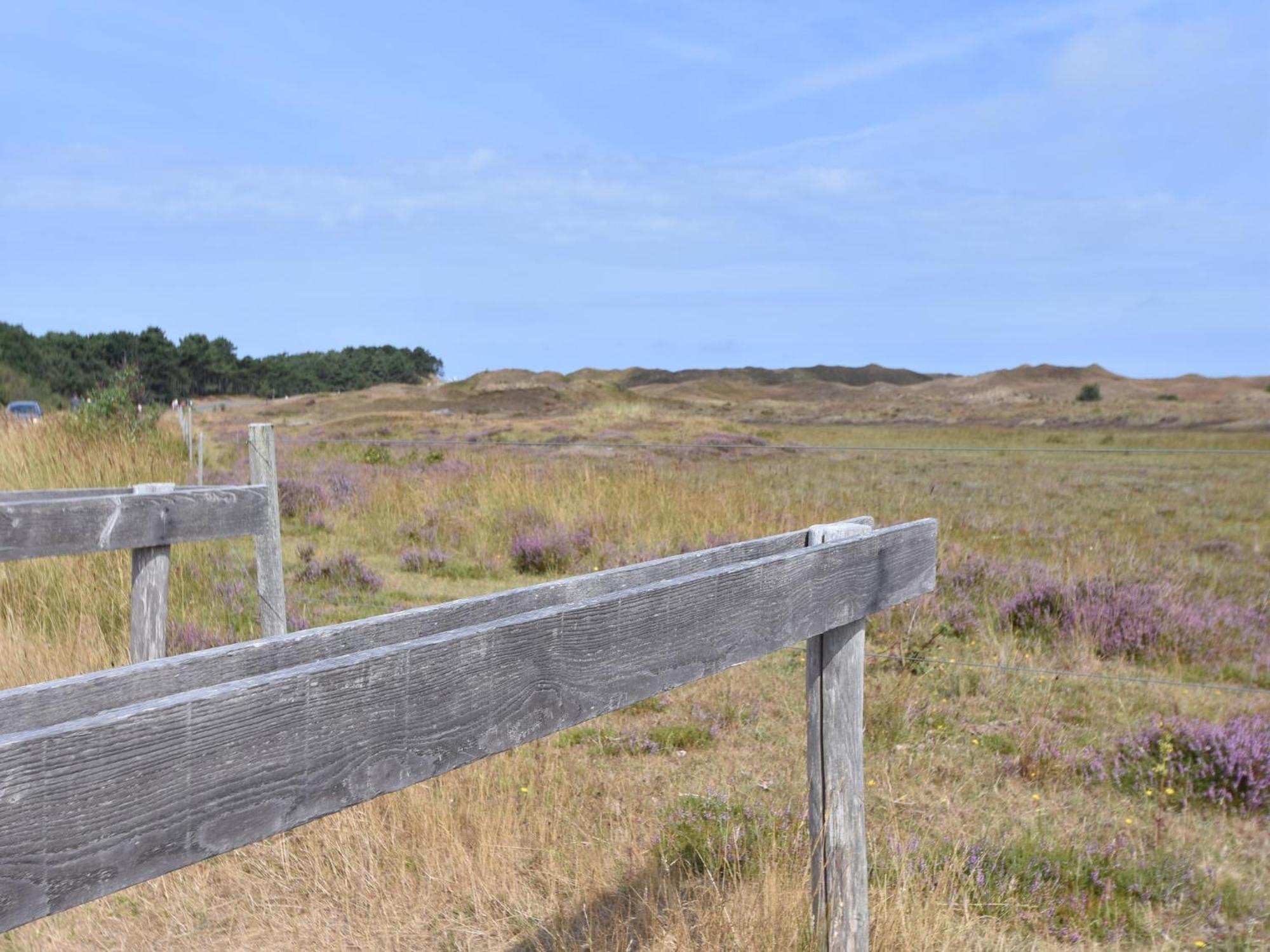 Oost  Lovely Holiday Home In Texel Near Sea מראה חיצוני תמונה